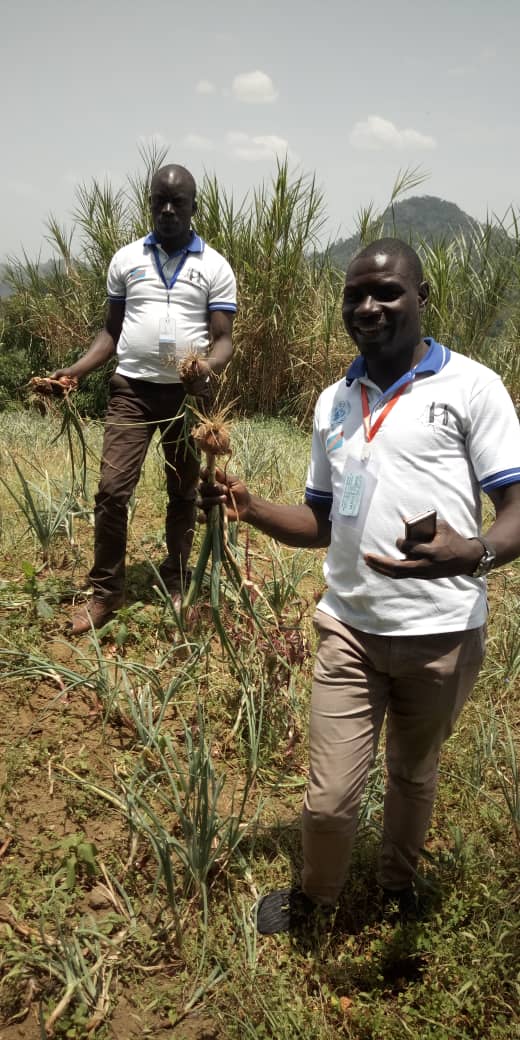 Cohabitation pacifique