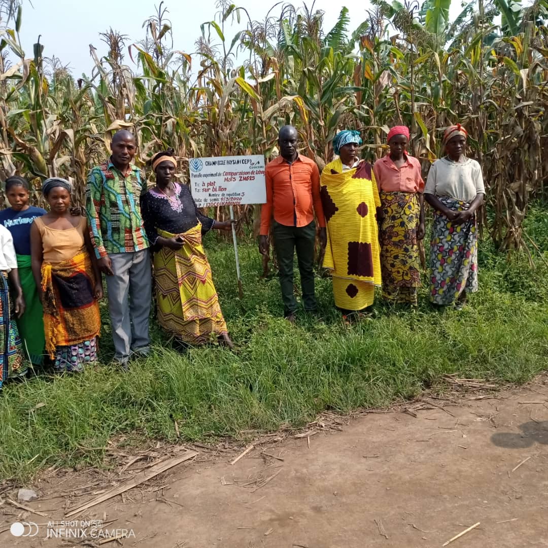 Encadrement des cultivateurs du territoire de rutshuru ne leur fournissant les intrants agricoles