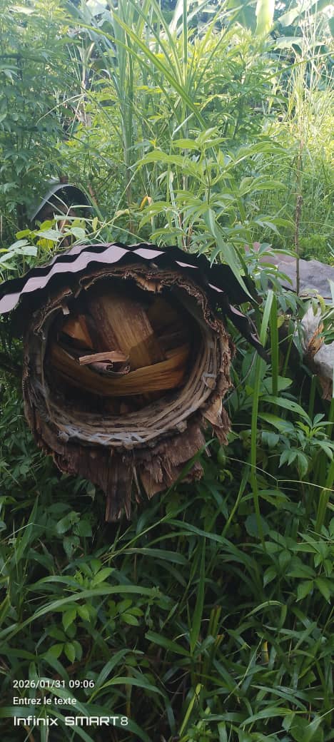 Projet de l'apiculture de notre Antenne Territoriale de Rutshuru